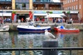 Lonely seagull looking in harbor of Rostock-WarnemÃÂ¼nde