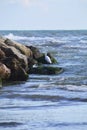 Lonely seagull on some rocks by the sea Royalty Free Stock Photo