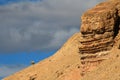 A lonely sheep on the horizon, Chubut, Argentina Royalty Free Stock Photo