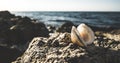 A lonely shell on the rocky shore of the Black Sea against the background of blurry dark coastal waves, panorama
