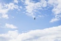 Lonely single seagull hovering high in the blue sky with white clouds, Royalty Free Stock Photo