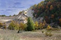 Lonely Spruce Standing Guard at Dune Royalty Free Stock Photo