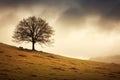 A lonely standing tree without foliage on a slope with brown grass and a gray rainy sky. Created using generative AI