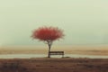 A lonely standing tree with orange foliage and empty wooden bench on meadow with brown grass and a gray rainy sky