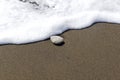 A lonely stone on the sand in the surf.