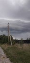 lonely stork before the rain