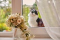 A lonely street cat jumped on the windowsill and sadly looks inside the room, where the window is the bride`s bouquet