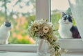 A lonely street cat jumped on the windowsill and sadly looks inside the room, where the window is the bride`s bouquet