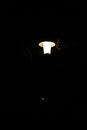 A lonely street light or lantern in vertical view in darkness among bare trees in late autumn or winter. Royalty Free Stock Photo