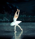 Lonely Swan-ballet Swan Lake