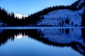 Lonely swan after first snowfall on the lake