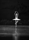 Lonely Swan-The Swan Lakeside-ballet Swan Lake