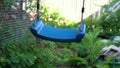 Lonely swing swing in the overgrown courtyard Royalty Free Stock Photo