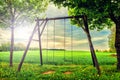 Lonely swing at summer sunset Royalty Free Stock Photo
