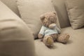 Lonely teddy bear is on the brown sofa. Lonely doll