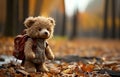 Lonely Teddy bear doll standing alone with blurry autumn forest background,Lost brown bear toy looking sad,International missing