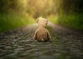 Lonely teddy bear on the road Royalty Free Stock Photo