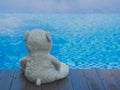 Lonely Teddy Bear Sitting near Swimming Pool