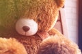 Lonely teddy bear Royalty Free Stock Photo