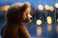 Lonely teddy bear weeps by the window, rain and bokeh Royalty Free Stock Photo