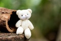 Lonely teddy sitting alone at woodl on nature background Royalty Free Stock Photo