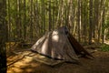 A lonely tent in the wild forest on the shore of the Buttle lake in the Strathcona Provincial Park in Canada Royalty Free Stock Photo