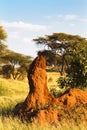 Lonely termitary in savanna. Tanzania, Africa