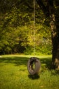 Lonely Tire Swing