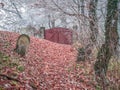 Lonely tombstone at the cemetery gates. End of autumn landscape with red leafs carpet and trees covered in rime ice Royalty Free Stock Photo