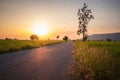 Less traveled road at sunset