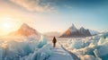 Lonely traveler stands on the melting glaciers with a beutiful arctic landscape
