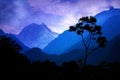 A lonely tree against the background of the Himalayan mountains and night sky.