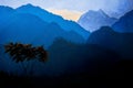 A lonely tree against the background of the Himalayan mountains and the sunset. Nepal