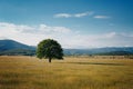 Lonely tree against a blue sky at sunset Royalty Free Stock Photo