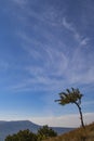 Lonely tree on the background of mountains and sky Royalty Free Stock Photo