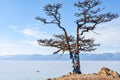 Lonely tree on a background Olkhon Island