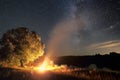 Lonely tree and bonfire at night Royalty Free Stock Photo