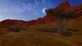 Lonely tree in a canyon at night Royalty Free Stock Photo