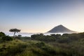 A lonely tree at the central plateau plain of Achada after sunset with fog mist and Mount Pico, also named Ponta do Pico, Portugal Royalty Free Stock Photo