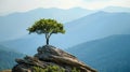 Lonely tree on cliff top at on blue sky background, scenic view of mountains in summer, amazing landscape with rock and green