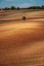 Lonely tree on a plowed field Royalty Free Stock Photo