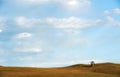 Lonely tree in field under sky and clouds Royalty Free Stock Photo