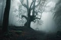 lonely tree with foggy mist surrounding it, in serene and mysterious forest Royalty Free Stock Photo