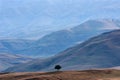 Lonely tree at foot of Drakensberg range