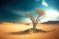 lonely tree gathering life around it in dead desert