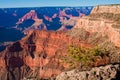 Lonely Tree in Grand Canyon National Park,Arizona,USA Royalty Free Stock Photo