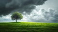 Lonely tree on a green field under a cloudy sky Royalty Free Stock Photo