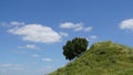 Lonely tree on a green slope of a hill against blue sky Royalty Free Stock Photo