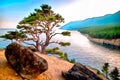 Lonely Tree on the high Gulf of a Mountain Lake