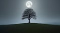 Lonely tree on a hill at night in full moon light Royalty Free Stock Photo